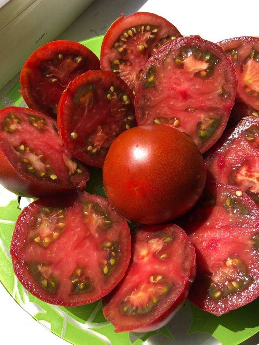 Насіння надврожайного томату Мавр, 150 шт.