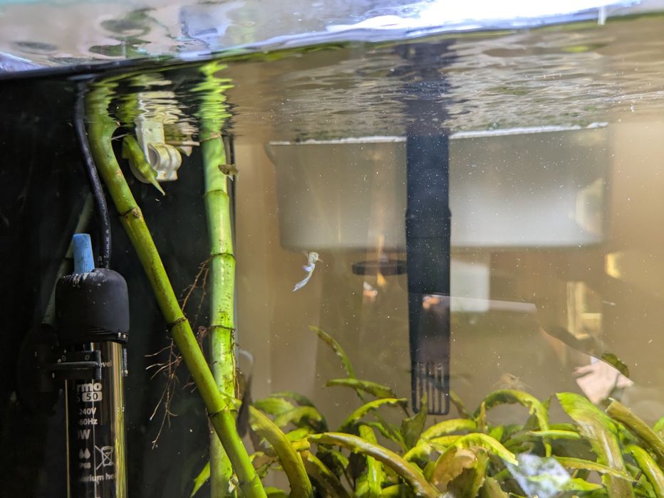 Akwarium kostka Aquael 49L