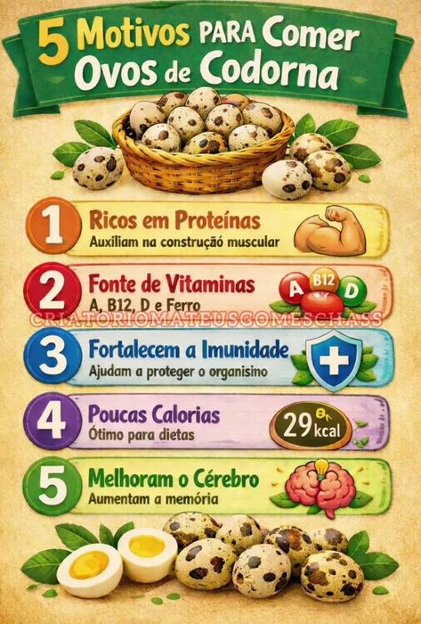 Ovos cordoniz a dúzia