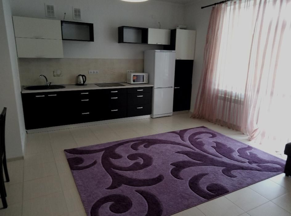 2 кімн. простора квартира подобово на Минайській 18  Ужгород