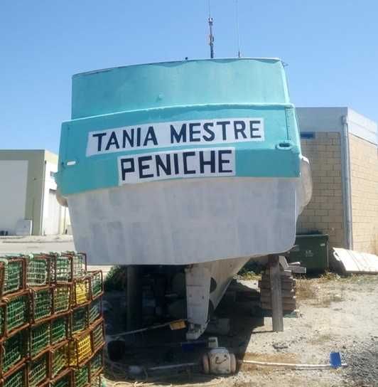 Barco Pesca Profissional