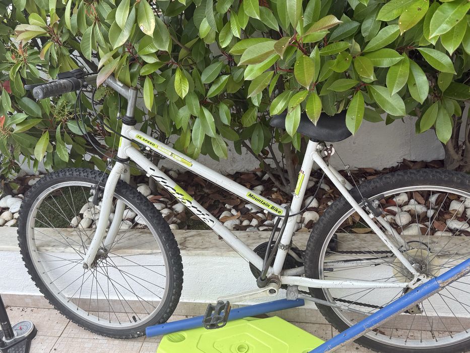 3 bicicletas por 20€!