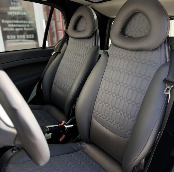Interior Smart 450