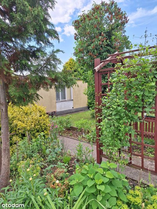 Działka ROD 480 m2 na Szwederowie