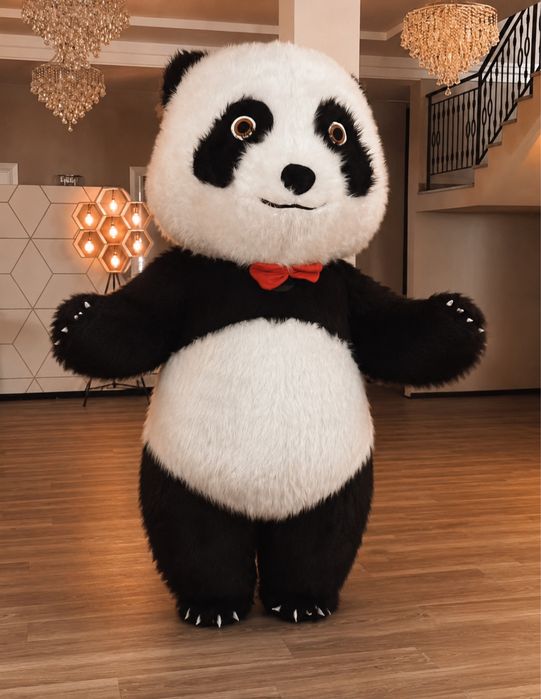 Miś Panda na imprezy