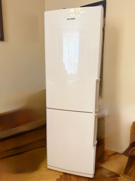Холодильник Samsung NoFtost RL38SCVB