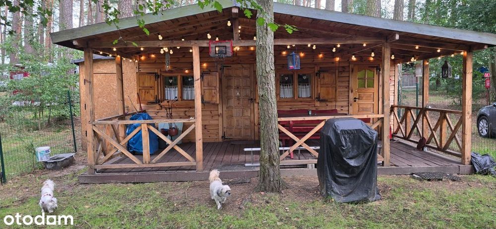 Domek letniskowy nad Zalewem Koronowskim <CENA POSEZONOWA>