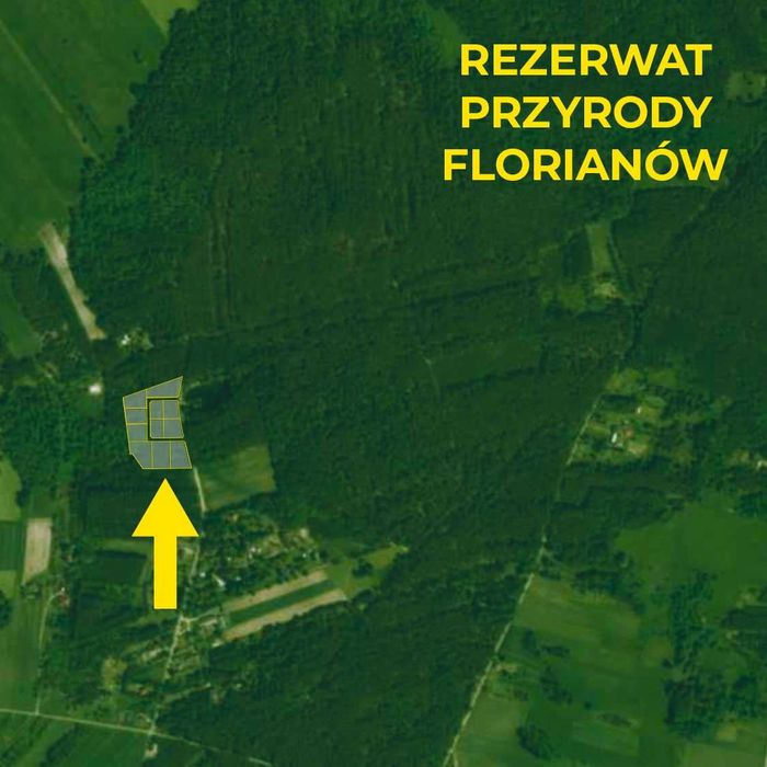 Działka budowlana z MPZP – oaza spokoju, tylko godzinę od Warszawy! - Widok 6