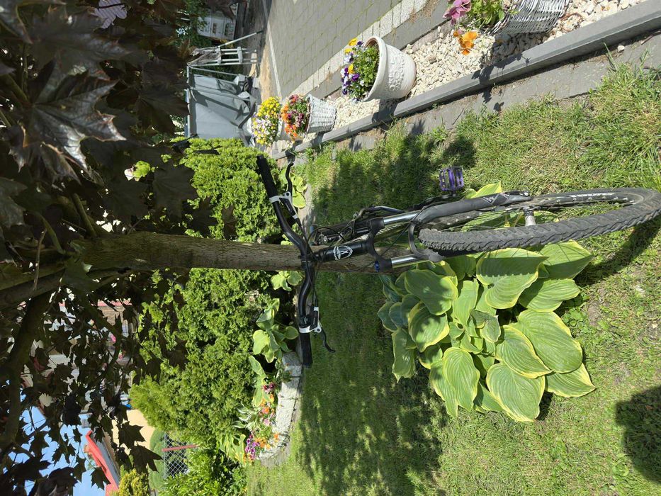 rower dirt (opis)