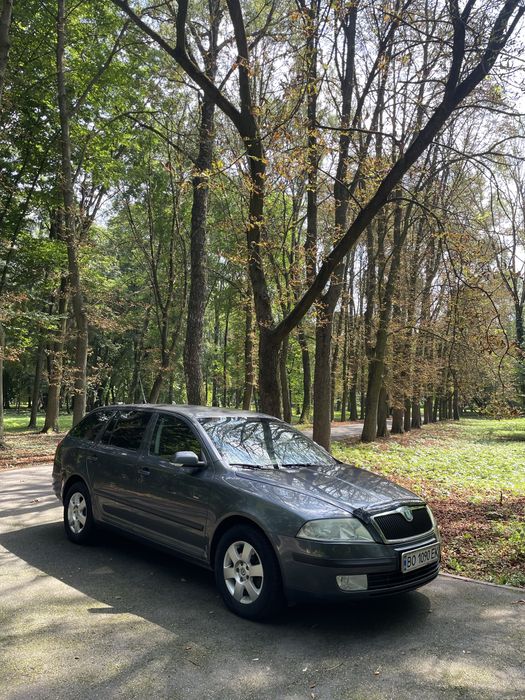 Skoda Octavia A5 2007 2.0 дизель