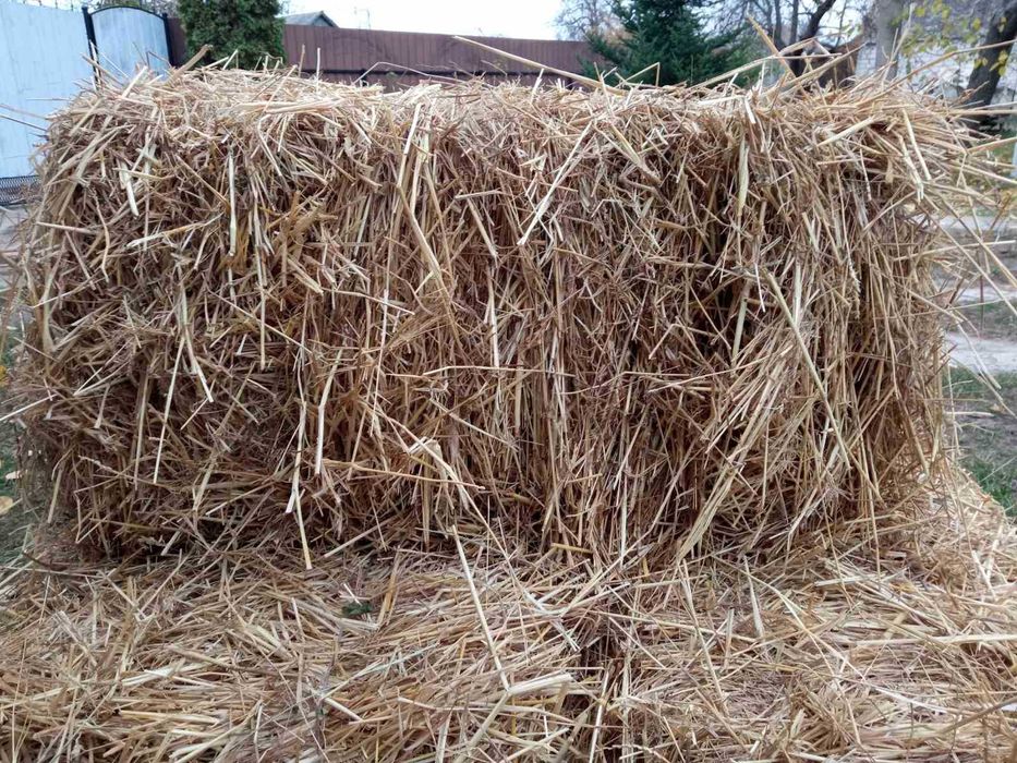 Продам солому пшениці в тюках