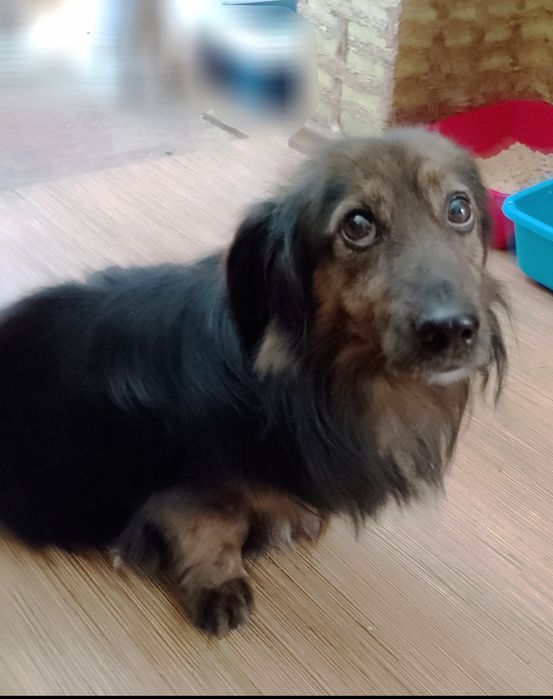 Малюк Блек! Хлопчик друг! 1 рік