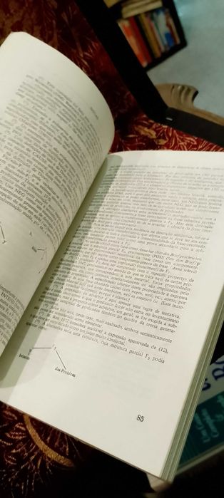 Problemas da Lexicologia e Lexicografia