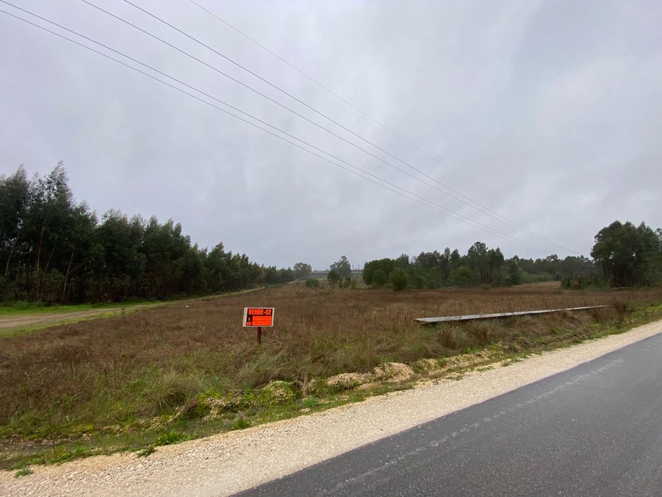 Terreno 19640m2 Marinhais (Salvaterra)