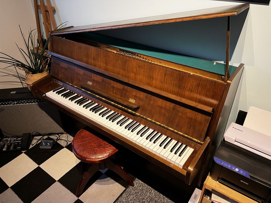 Pianino Calisia, Polska Produkcja, fortepianowe brzmienie.