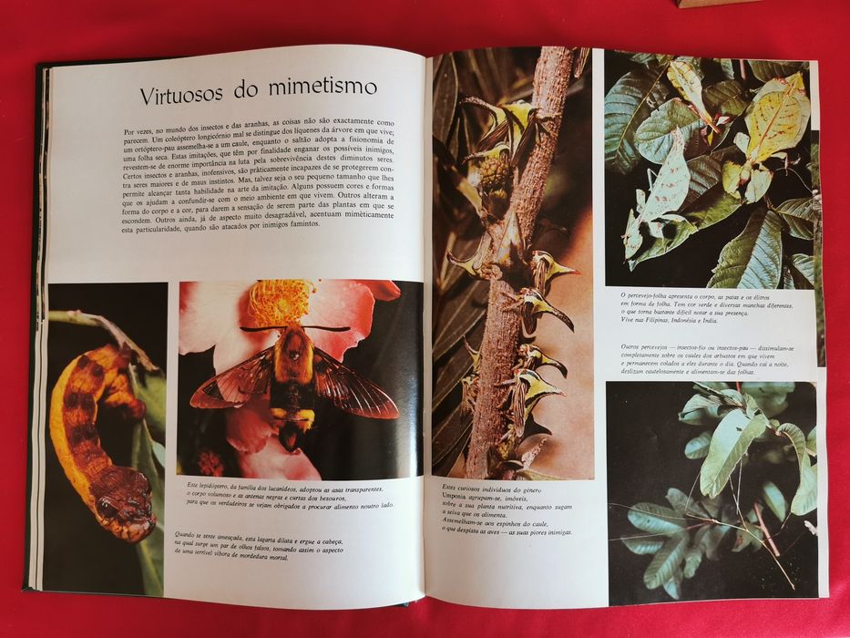 Livro - O Assombroso Mundo da Natureza