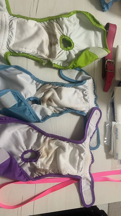 Conjunto para Cães | Acessórios+Higiene|Trela, Coleira, Fraldas & Mais