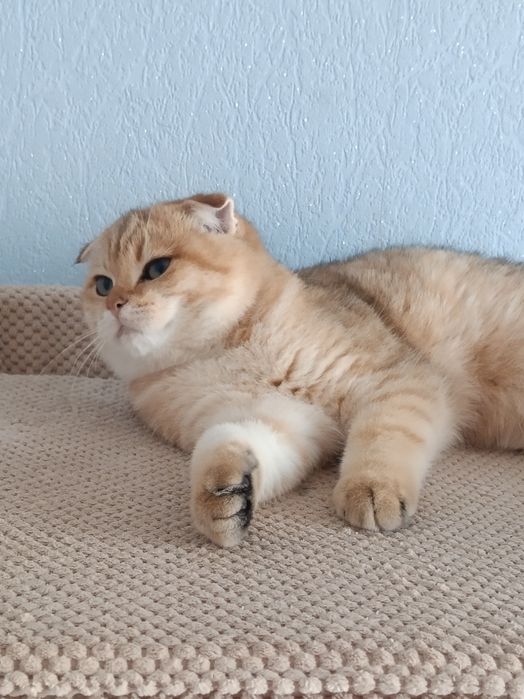 Дуже милий бешкетник