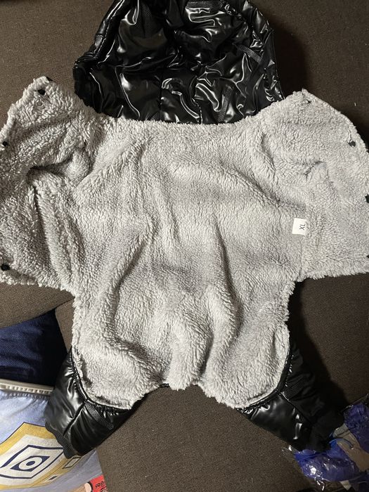 Одежда для животных