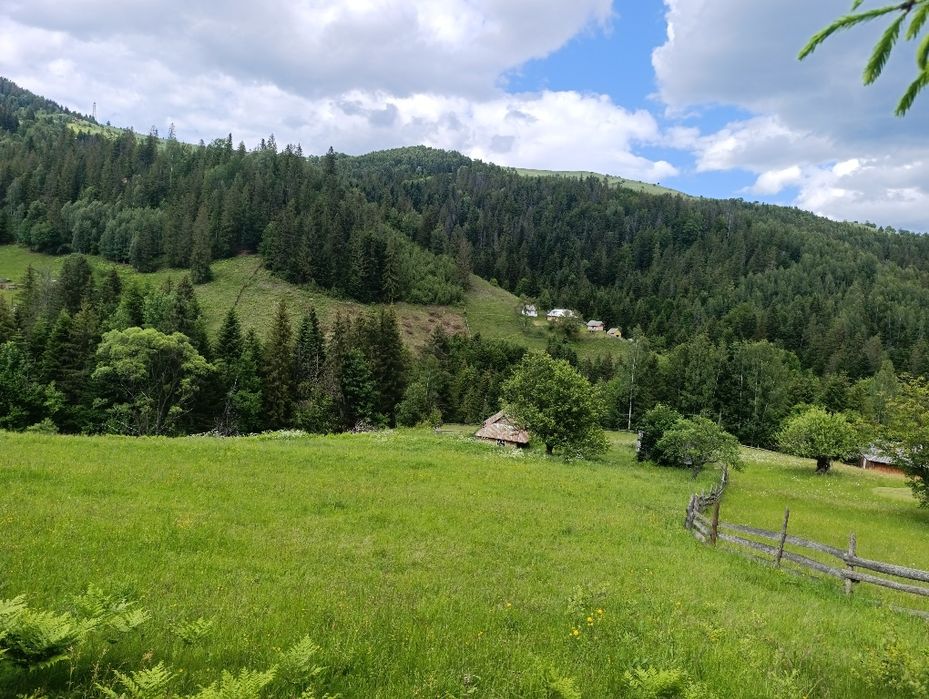 Земельна ділянка 0,63 га в Карпатах | Снідавка, Косівський район | 35 000 $