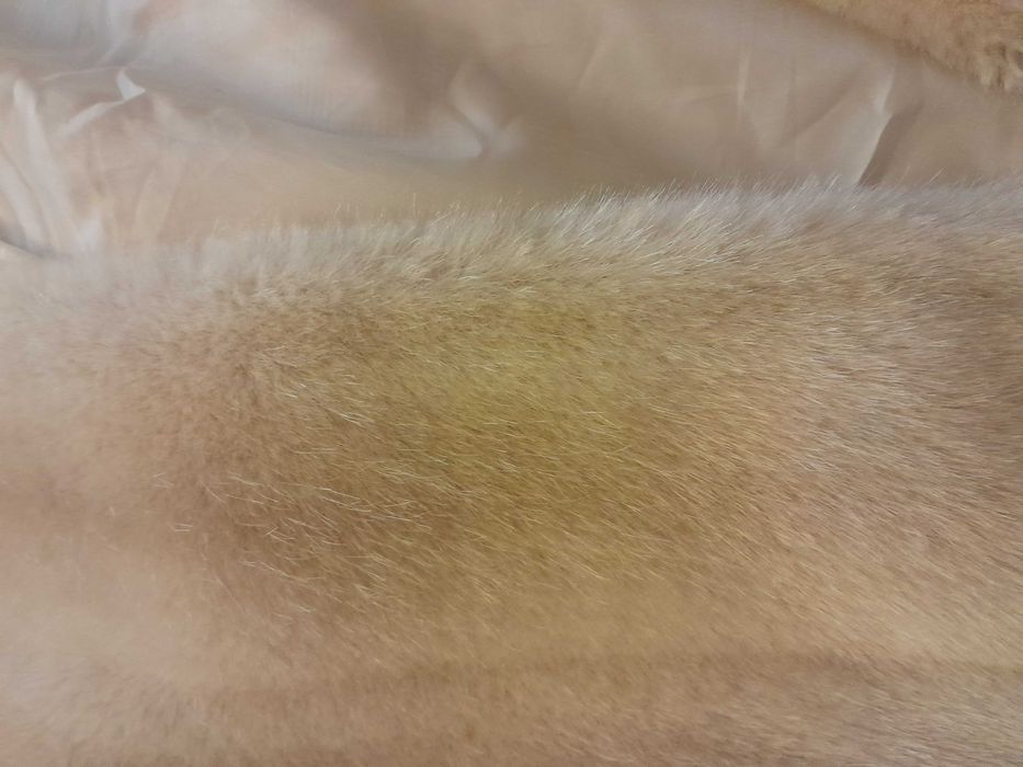 Estola  bege clarinho