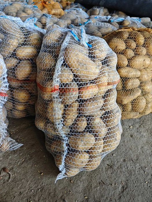 Ziemniaki W WORKACH 15 KG