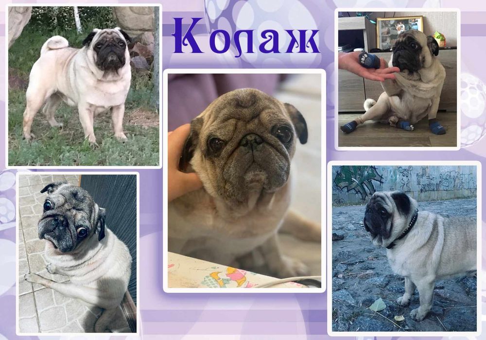 Фото  на документи.Швидко и якісно.Термін виконання 3 хвилини.