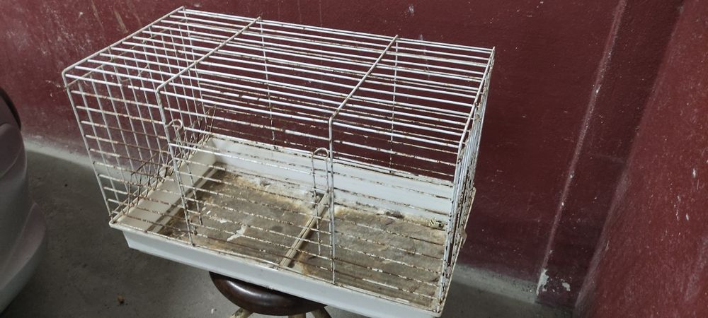 Gaiola grande branca