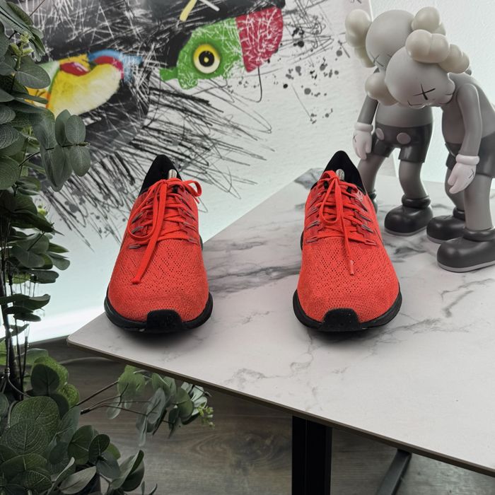 Кросівки Nike Zoom Pegasus 36 40.5 розмір E689