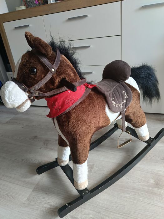 Sprzedam konika na biegunach