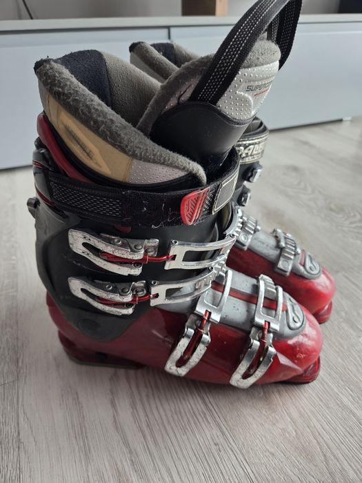 Buty narciarskie Dalbello