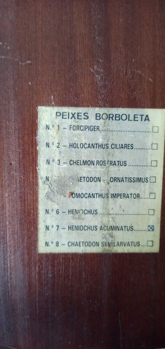 Mãe e filho estatueta 10€ marfinite fina