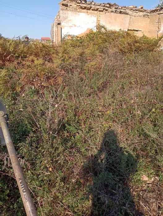 Jardinagem e multisserviços