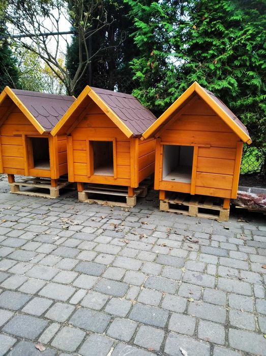 Buda dla psa solidne