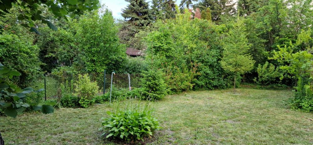 Działka ROD na sprzedaż – Mokotów, ROD Obrońców Pokoju - Widok 4