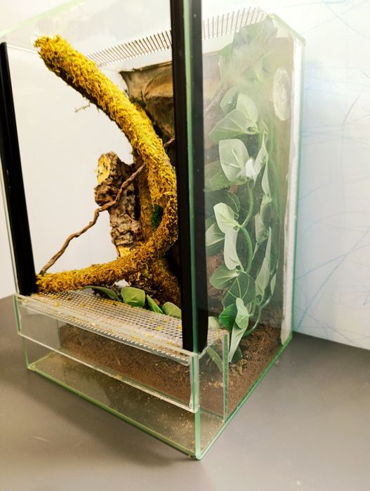 Terrarium wyposażone