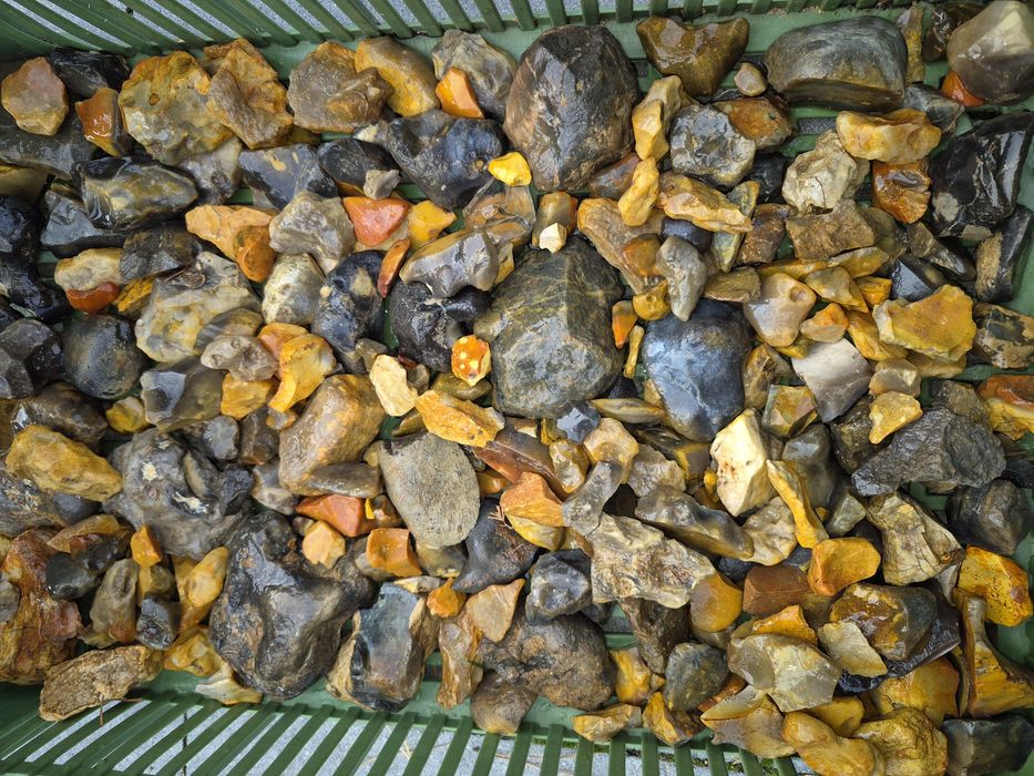 Krzemienie kolorowe polne
