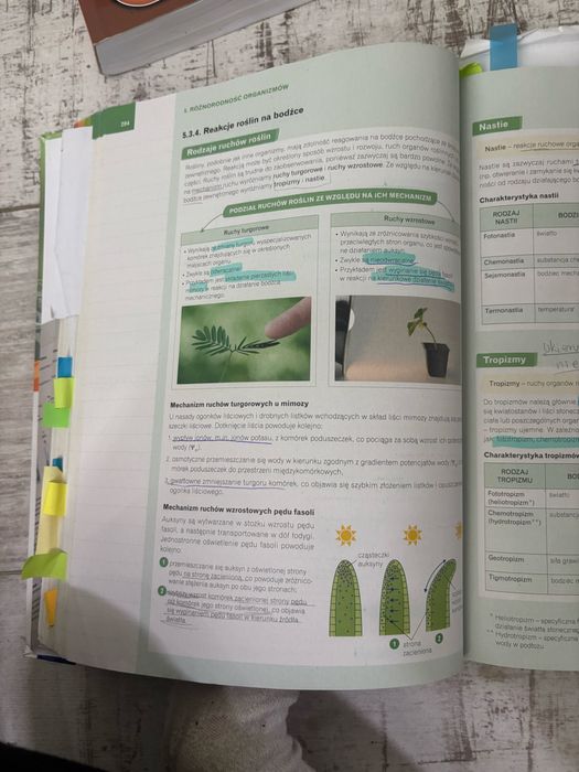 Nowa era biologia repretytorium