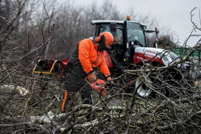 Wycinka Drzew Czyszczenie działek Mulczer Wgłębny Rekultywacja