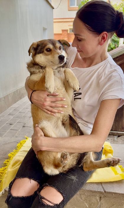 Собачка Мальва шукає людину