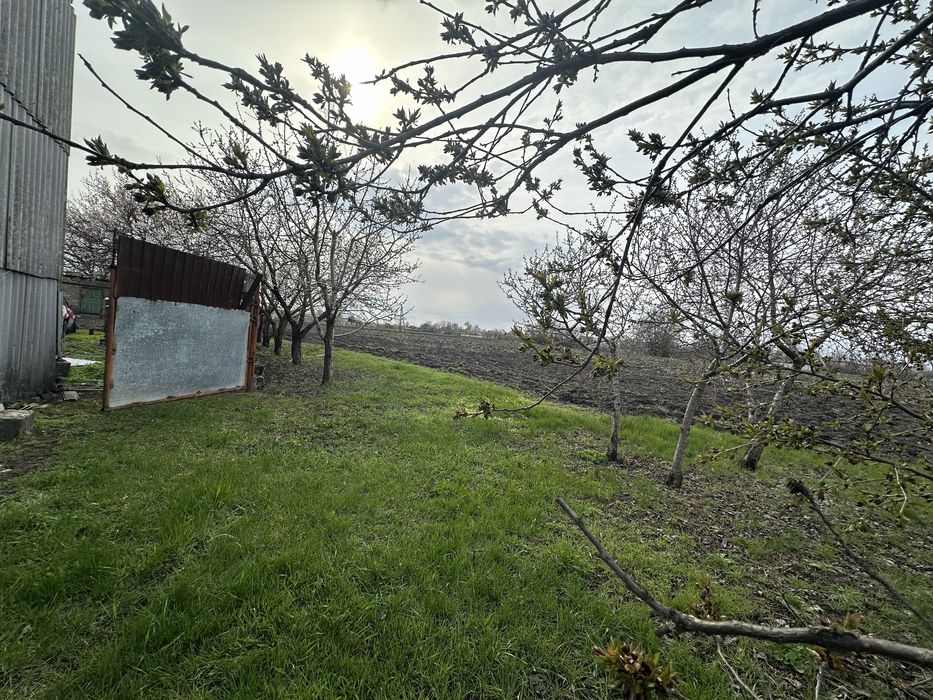 Продам будинок в селі Личкове