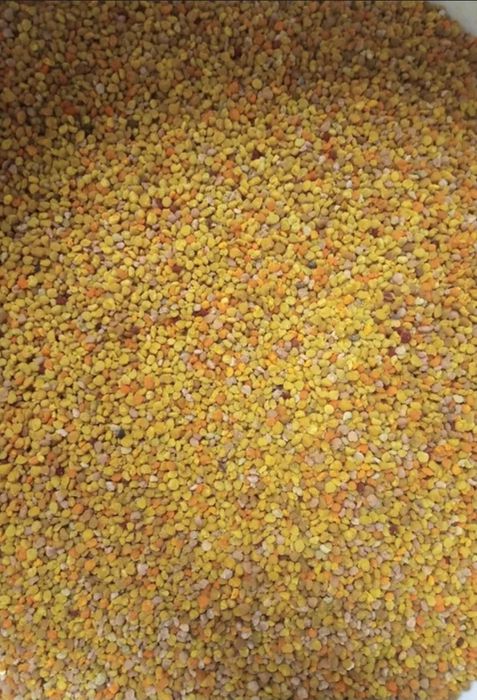 Пилок бджолиний, оптом