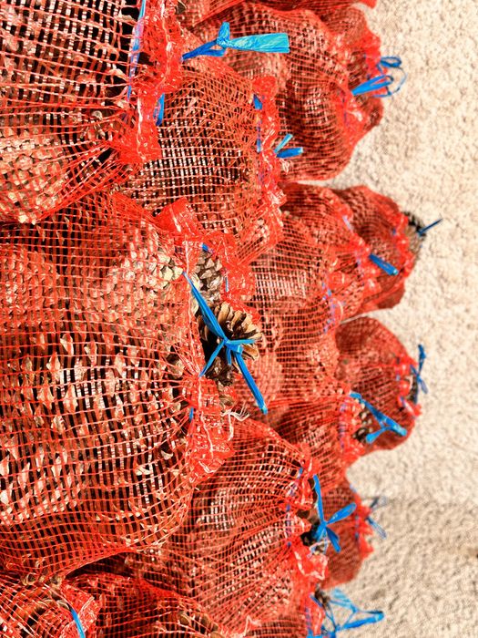 VENDO PINHAS e entrego ao domicilio !