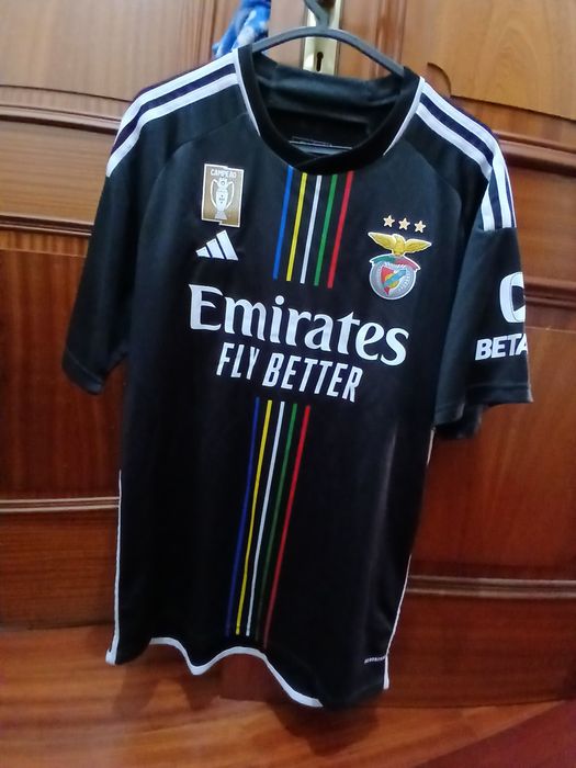 S.L Benfica 5 quadros 1 camisola 1 simbolo cravado com modeas antigas 8 livros 100 anos