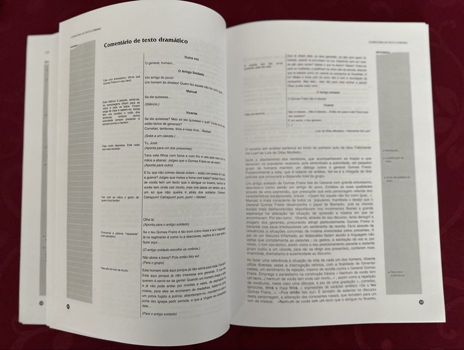 Técnicas de análise literária e construção de texto - Edições Sebenta ISBN 9727990118