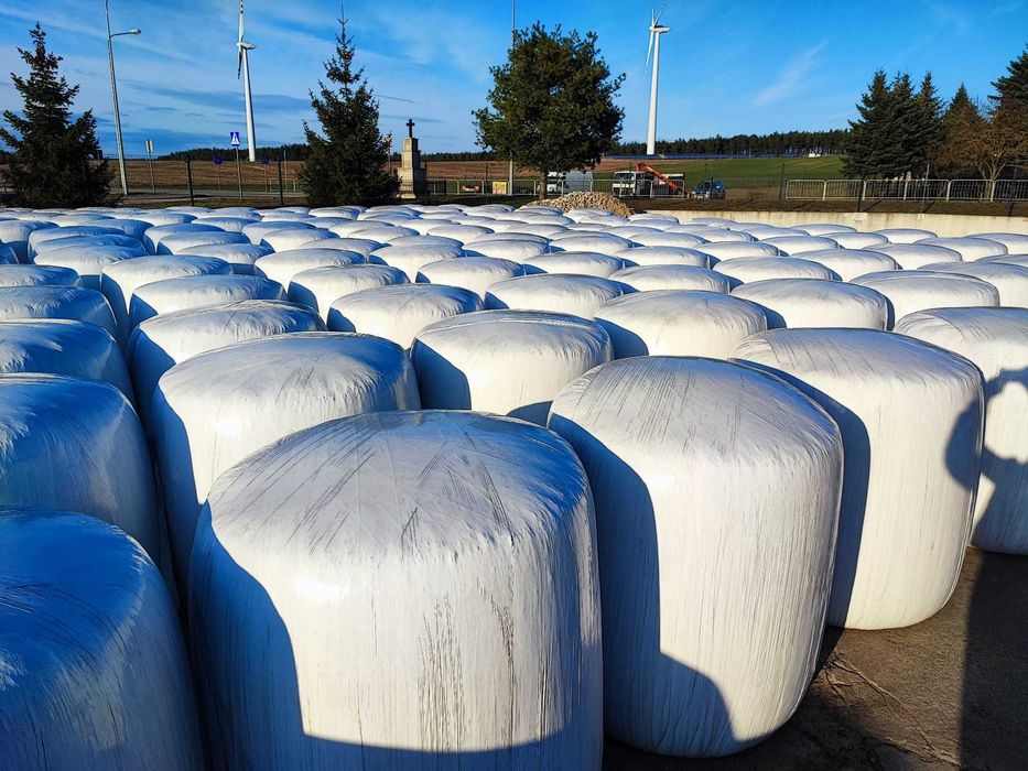 Kiszonka z kukurydzy i sianokiszonka z żyta w belach Możliwość dostawy