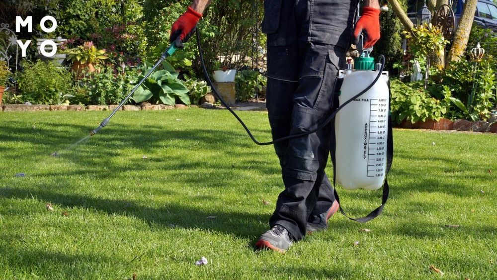 Весняний догляд за газоном та садом – скарифікація,підживлення,стрижка