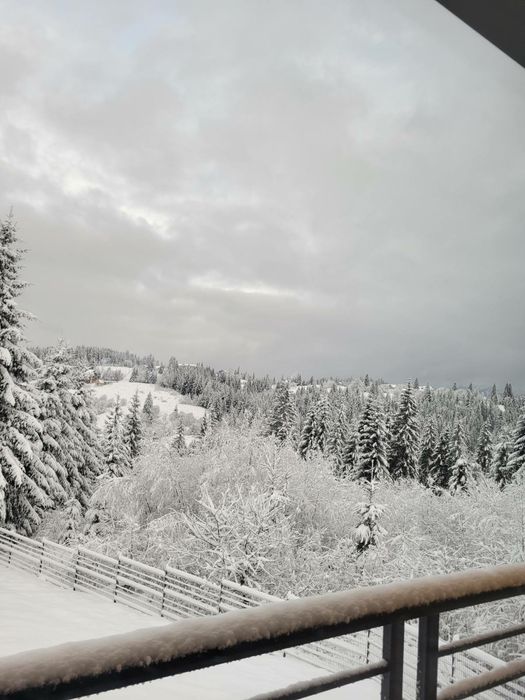 Відпочинок в Карпатах