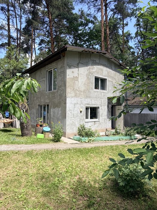 Два будинки на одній ділянці біля Дніпра