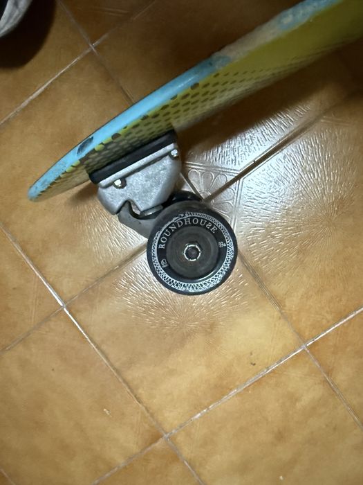 Skates bem estimados